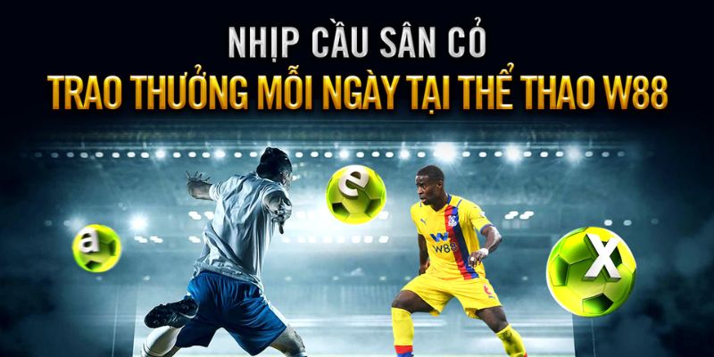 Tận hưởng những trận đấu hấp dẫn tại sảnh CMD sport